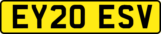 EY20ESV