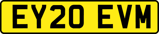 EY20EVM