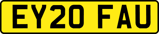 EY20FAU