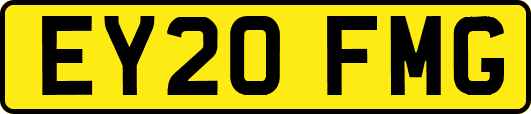 EY20FMG