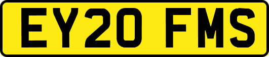 EY20FMS
