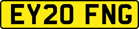 EY20FNG