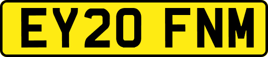 EY20FNM