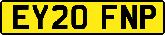 EY20FNP