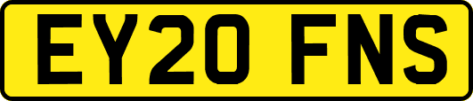 EY20FNS