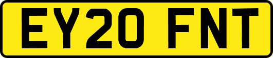 EY20FNT