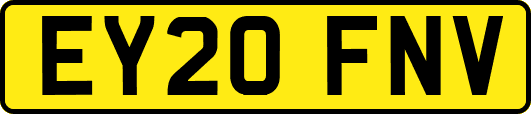 EY20FNV