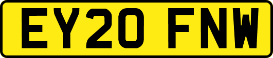 EY20FNW
