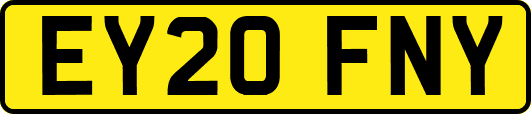 EY20FNY