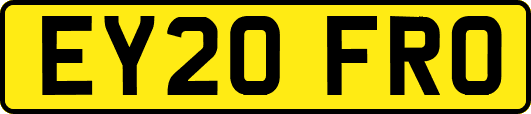 EY20FRO