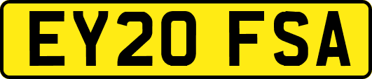 EY20FSA