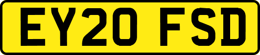 EY20FSD