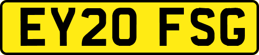 EY20FSG