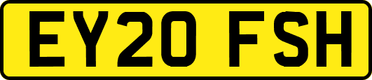 EY20FSH