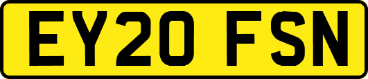 EY20FSN