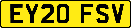 EY20FSV