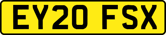 EY20FSX