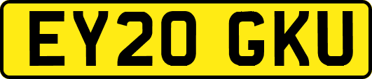EY20GKU