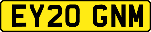 EY20GNM