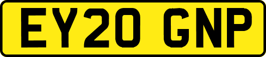 EY20GNP