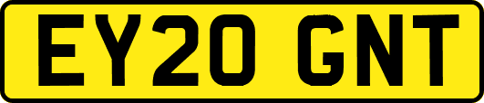 EY20GNT
