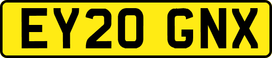 EY20GNX