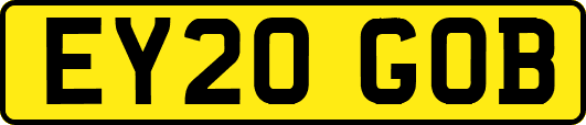 EY20GOB