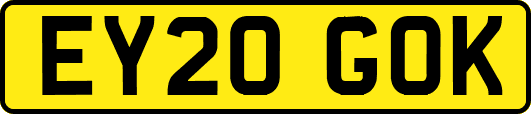 EY20GOK