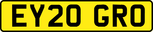 EY20GRO