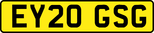 EY20GSG