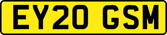 EY20GSM