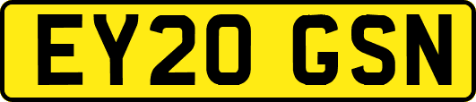 EY20GSN