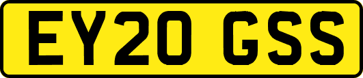EY20GSS