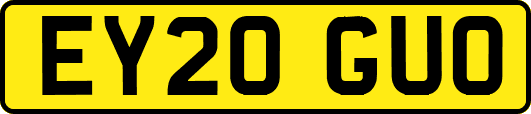 EY20GUO