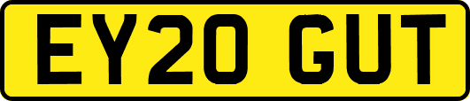 EY20GUT