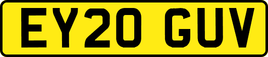 EY20GUV