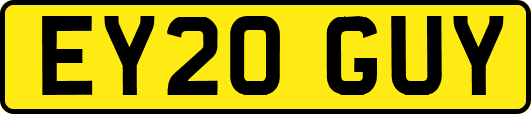 EY20GUY