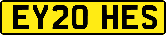 EY20HES