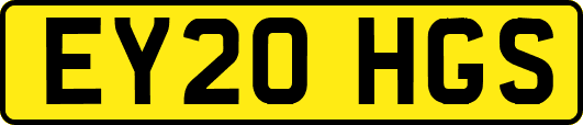 EY20HGS