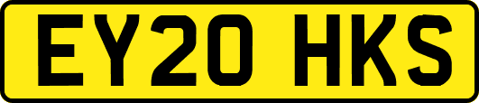 EY20HKS