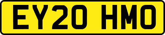 EY20HMO