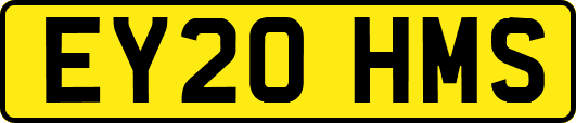 EY20HMS