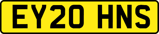 EY20HNS