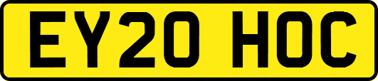EY20HOC