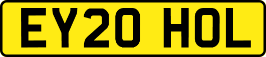 EY20HOL