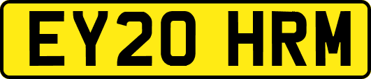 EY20HRM