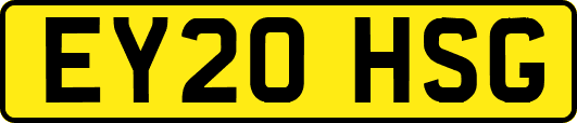 EY20HSG
