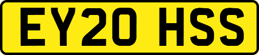 EY20HSS