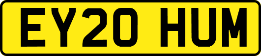 EY20HUM