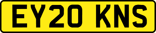 EY20KNS